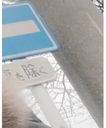 POLO RALPH LAUREN | ショルダーバッグ