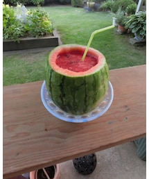 スイカのまるごとジュース | その他