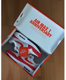 NIKE | nike airmax1 anniversary (スニーカー)