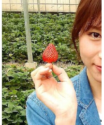 あまおう | その他