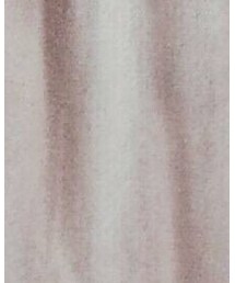 RALPH LAUREN | ブルゾン