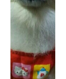 我が家のブランド | その他