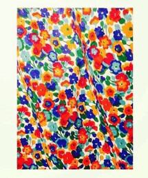 studio CLIP | リバティプリントスカート(スカート)