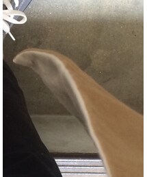 EEL | ジャケット/アウター