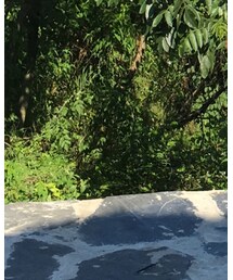 Teva | ビーチサンダル