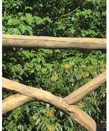 karbag | ショルダーバッグ