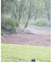 UNIQLO | スウェットパンツ