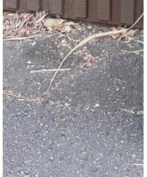 treaturself | ブーツ