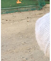 COAL | ニットキャップ/ビーニー