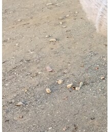 ZARA KIDS | ジャケット/アウター