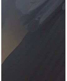 Ray BEAMS | スカート