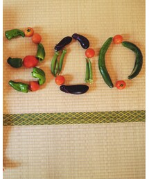 ひぃばあ作無農薬野菜 | その他