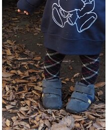 Birthday | タイツ/ストッキング