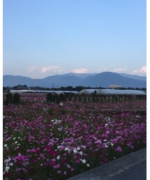 無印良品 | Tシャツ/カットソー