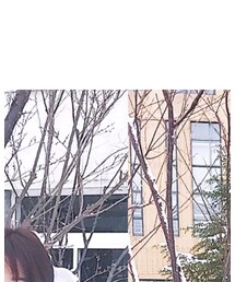 ❄️雪中鹿🦌 | その他