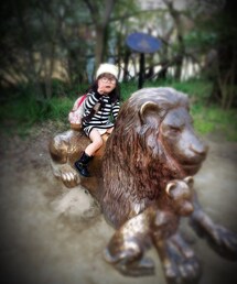 korea | ホンモノのライオンよりテンションあがってた…笑(パーカー)