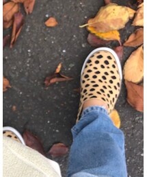 GAP | スリッポン