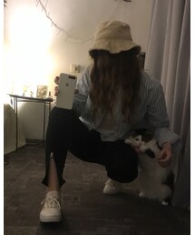 little cat | my cute cat 😸(雑貨/ホビー)