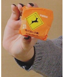 鹿飛び出し注意！ | その他