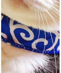 手づくり | ネックウォーマー/スヌード