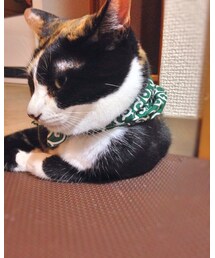 no brand | マフラー