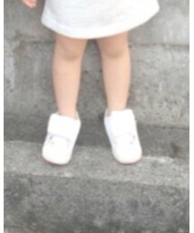 DC SHOES | スニーカー