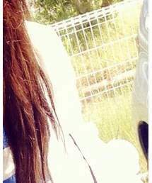 GLOBAL WORK | シャツ/ブラウス