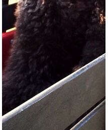 Original. | その他