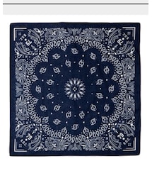 BUMP OF CHICKEN | ファッション雑貨