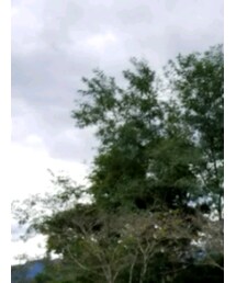 Champion | ニットキャップ/ビーニー