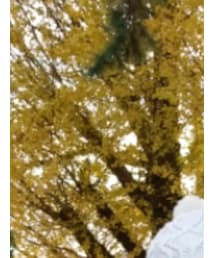 no brand | ニットキャップ/ビーニー