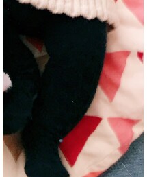 Birthday | タイツ/ストッキング