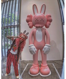 KAWS | おもちゃ
