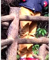 JOURNAL STANDARD | その他パンツ