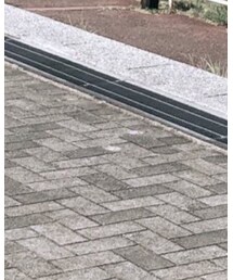 . | コスチューム/パーティーグッズ