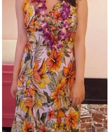 Two Palms | ワンピース