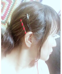 janetran | ヘアピン