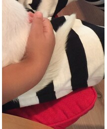 Birthday | パンツ