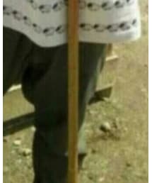 羊飼の杖 | その他