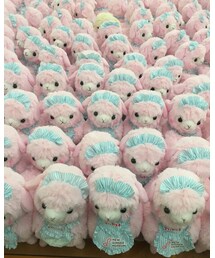 新生姜アルパカちゃん | その他