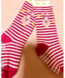 Birthday | ソックス/靴下