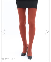 Tabio | タイツ/ストッキング