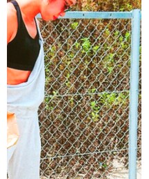 DAISO | サングラス