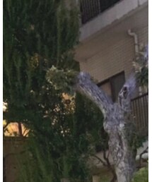 下北沢 | その他