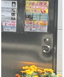 NOT CONVENTIONAL | Tシャツ/カットソー