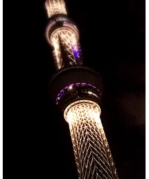 スカイツリー | その他