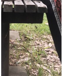 ZARA | その他パンツ