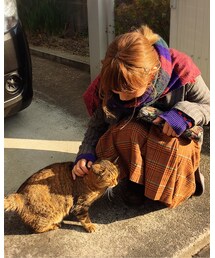 またにゃんこと戯れる | その他