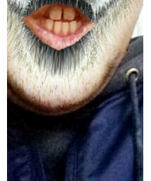 STUSSY | スウェット