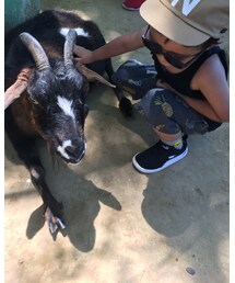 やぎさん💓 | その他